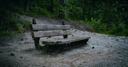 O Agora Como Portal para a Sua Transformação: O Poder de Viver Plenamente no Presente
